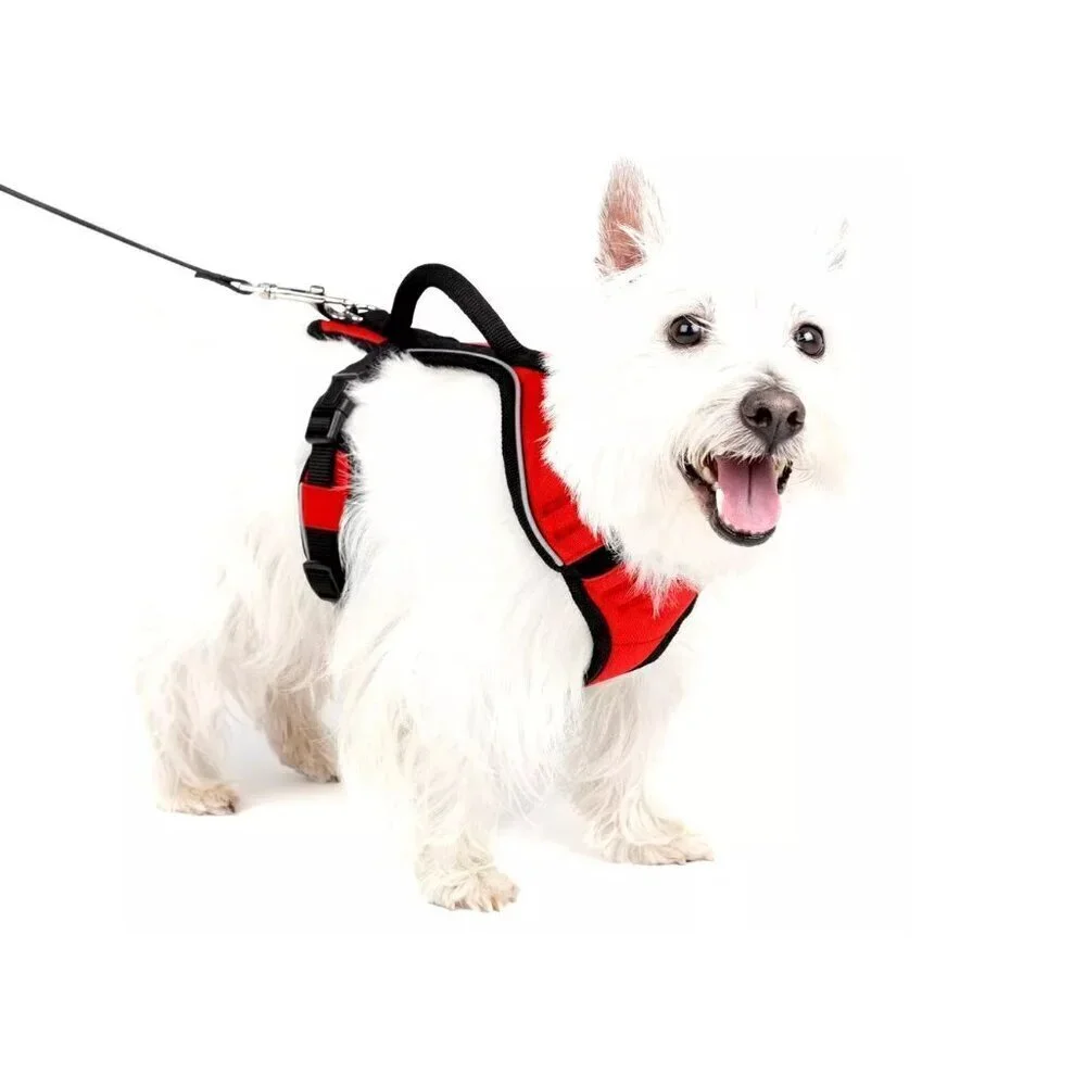PetSafe EasySport Dog Harness Padded/Handle/Reflective‎ Piping-Medium, Pink